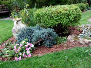 DSCF6292.JPG