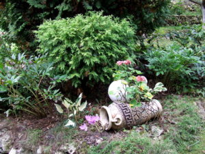 DSCF6320.JPG