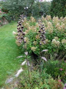 DSCF6360.JPG