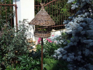 DSCF6178.JPG