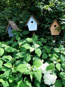 DSCF6198.JPG