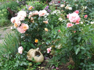 DSCF4485.JPG