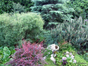DSCF3849.JPG