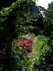 DSCF6204.JPG
