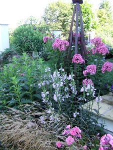 DSCF4593.JPG