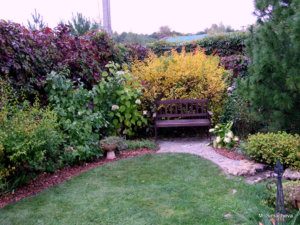 DSCF4792.JPG