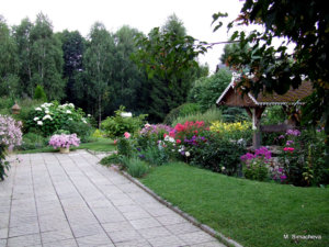 DSCF4698.JPG