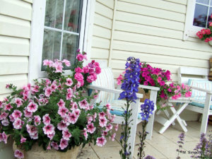 DSCF4479.JPG