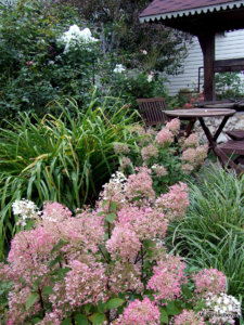 DSCF4812.JPG