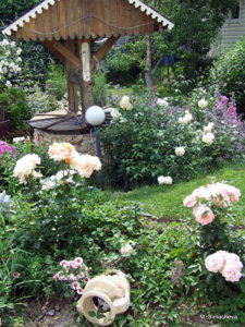 DSCF2615.JPG