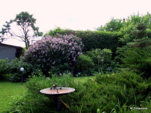 DSCF0721.JPG