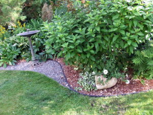 DSCF6006.JPG