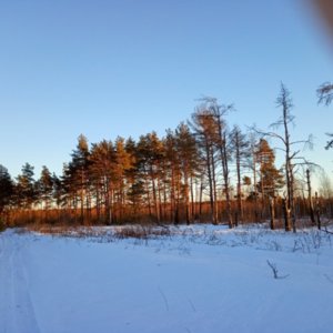 IMG_20190218_170645.jpg