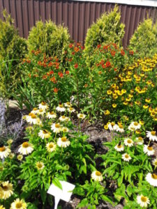 20170816_135634.jpg