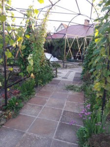 20180921_065757.jpg