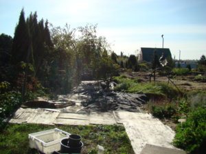 DSC07005.JPG