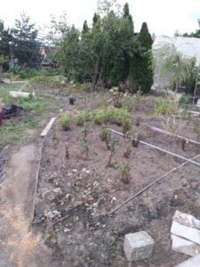 20170911_165844.jpg