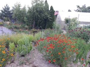 20180714_064322.jpg