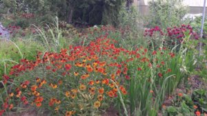 20180727_063231.jpg