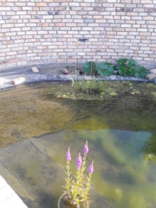 20180626_182019.jpg
