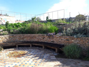 20180805_081256.jpg