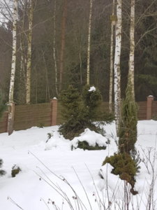 20190209_102927.jpg