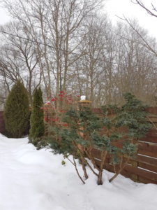 20190209_104843.jpg