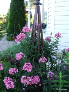 DSCF2843.JPG