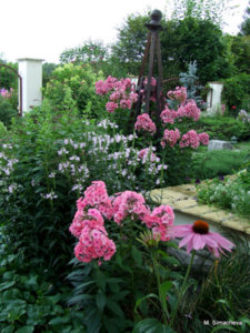 DSCF4695.JPG
