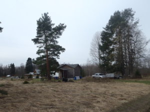 P5040157.JPG