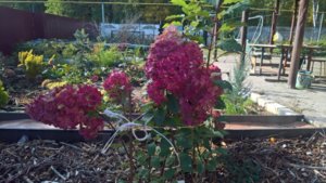 WP_20181002_09_09_59_Rich_LI.jpg