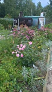 WP_20180817_15_48_20_Rich_LI.jpg