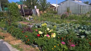 WP_20180804_09_20_52_Rich_LI.jpg