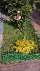 WP_20180824_11_25_54_Rich_LI.jpg