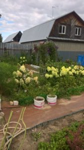 WP_20180817_15_49_50_Rich_LI.jpg