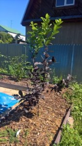WP_20180810_12_18_31_Rich_LI.jpg