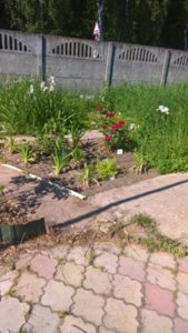 WP_20180625_08_05_00_Rich_LI.jpg