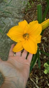 WP_20180719_08_37_17_Rich_LI.jpg