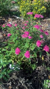 WP_20181002_08_32_31_Rich_LI.jpg