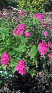 WP_20181002_08_32_41_Rich_LI.jpg