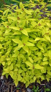 WP_20180614_09_53_16_Rich_LI.jpg