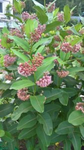 WP_20180713_10_52_37_Rich_LI.jpg