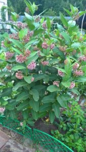 WP_20180713_10_52_46_Rich_LI.jpg