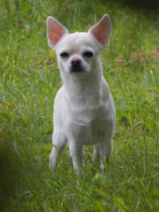 DSCN5423.JPG