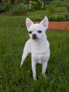 DSCN5115.JPG