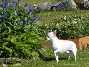 DSCN5298.JPG
