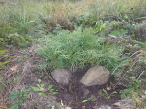 PA050773.JPG