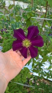 WP_20180710_09_11_49_Rich_LI.jpg