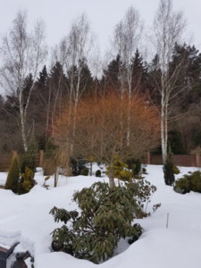 20190303_175633.jpg