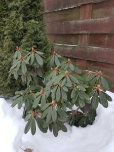 20190303_181532.jpg